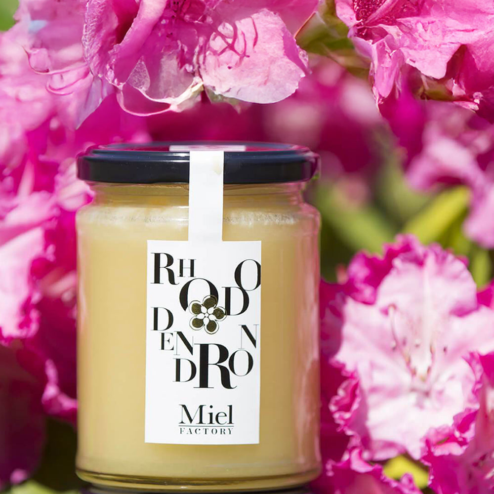 [파리배송] Miel de Rhododendron Bio (유기농 철쭉꽃 꿀)
