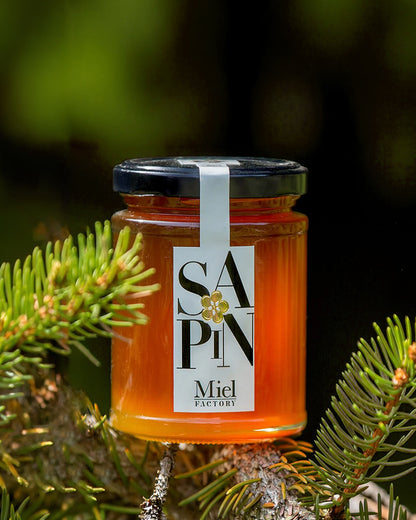 [Miel de Sapin] 전나무 꿀