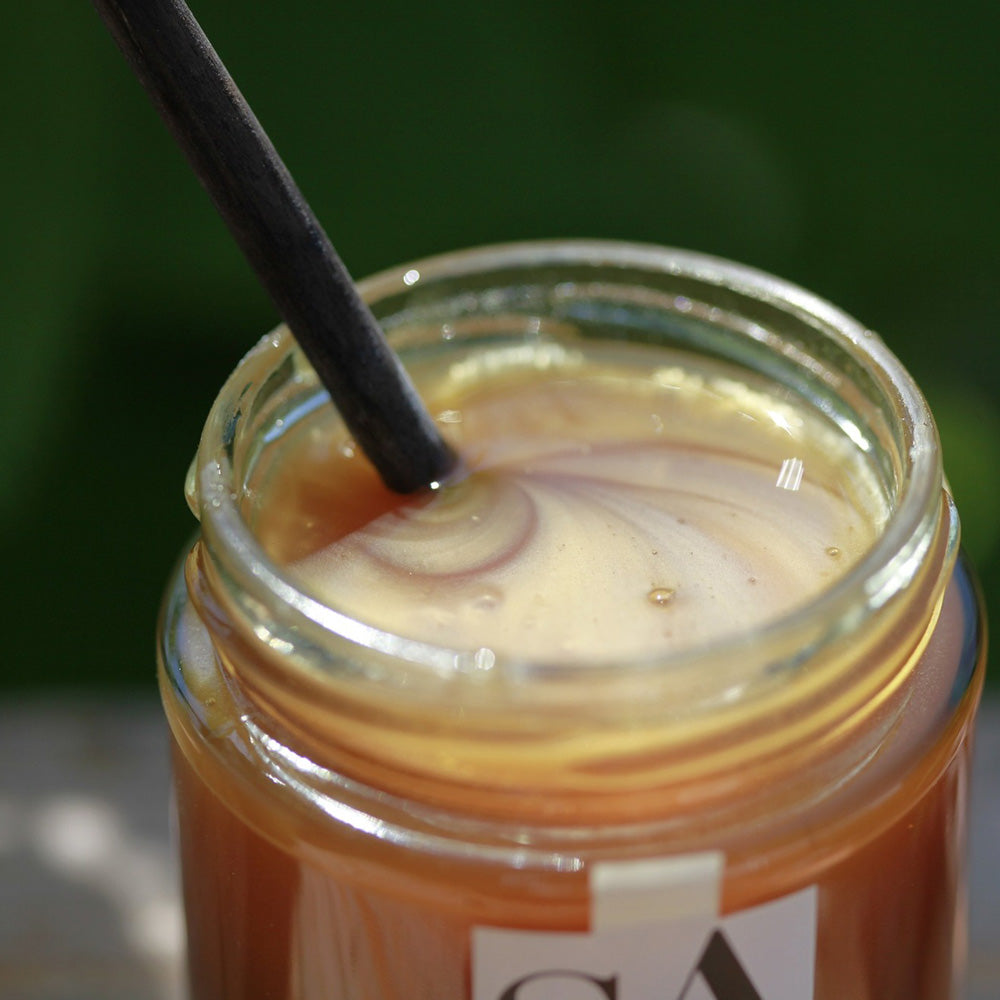 [파리배송] Miel de Sapin (전나무 꿀)