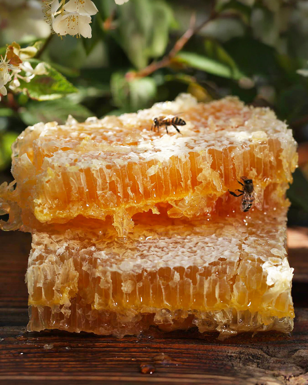 [Rayon de Miel de montagne BIO des Alpes] 프랑스 알프스 고산 유기농 벌집꿀