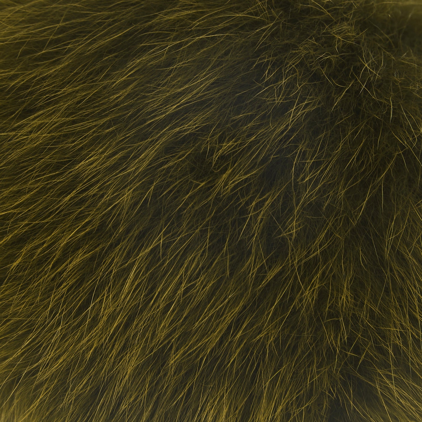 CHOYO(M) POMPOM (CANOPEE)